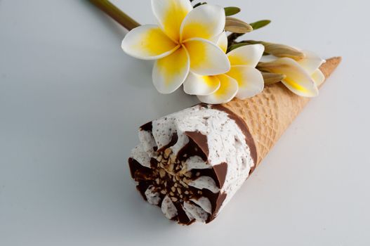 Delicious icecream and magnolia flowers on a white background .