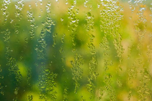 Green Abstract Background -Rain Drops on Window