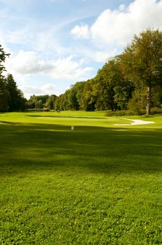 Golf Course In Forest