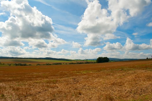 Rural Landscape - Harvested Agricultural Field and Blue Sky