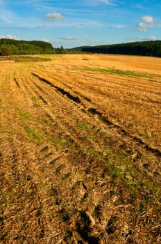 Rural Landscape - Harvested Agricultural Field and Blue Sky