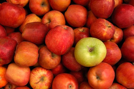 Image shows a selection of red apples with a green apple among them