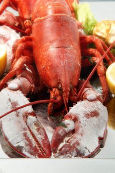 Steamed red boiled lobster with salad leaves and lemon in  restaurant .