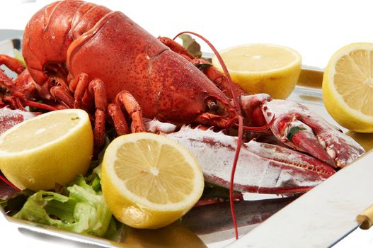 Steamed red boiled lobster with salad leaves and lemon in  restaurant .