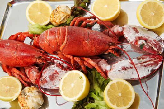 Steamed red boiled lobster with salad leaves and lemon in  restaurant .