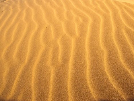 Sun creates light waves on sandunes