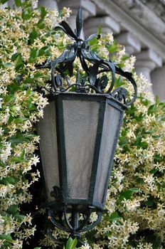 Decorative lamp with great blooming plants and