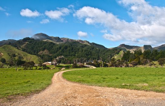 Colville Farm in New Zealand