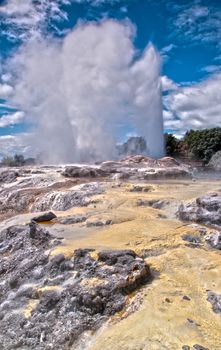 Geyser in full steam in Rotorua, New Zealand.