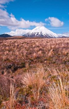 Mt Ngaurohoe in Tongariro National Park, New Zealand. Iconic snow-capped mountain was used in the Lord of the Rings movies and is better known as Mount Doom.