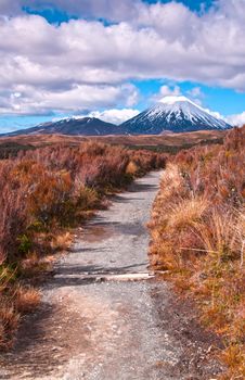 Mt Ngaurohoe in Tongariro National Park, New Zealand. Iconic snow-capped mountain was used in the Lord of the Rings movies and is better known as Mount Doom.