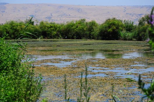 Lake in the North of Israel. Agmon aHula.