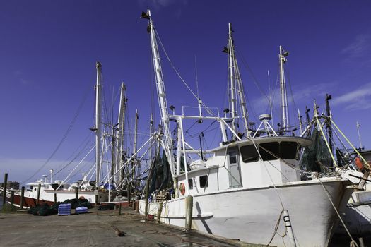 Gulf of Mexico Shrimp Fishing boat