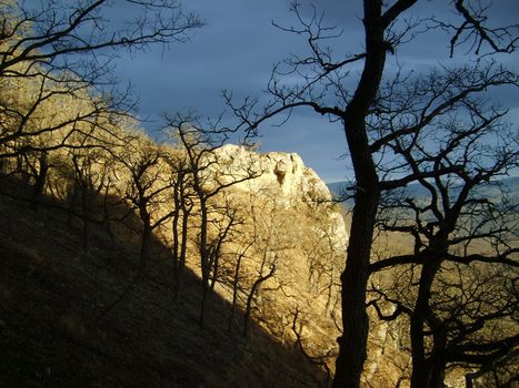 mountains; sundown; sun, tree; nature; wood, landscape; beauty; gloomy sky; background; beautifully; spine; tourism; journey, declivity