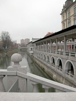 View of the town of Ljubljana in Slovenia