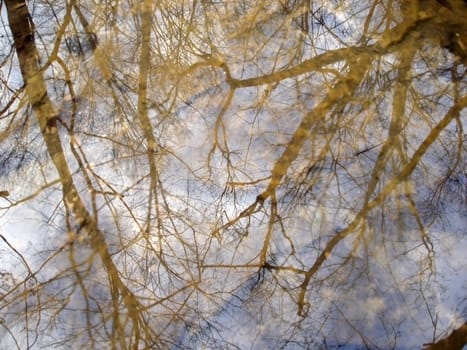 Reflection, water, tree, background, nature, wood, puddle, beautifully, sky, texture, branch, krona tree, autumn, dejection, sadness   