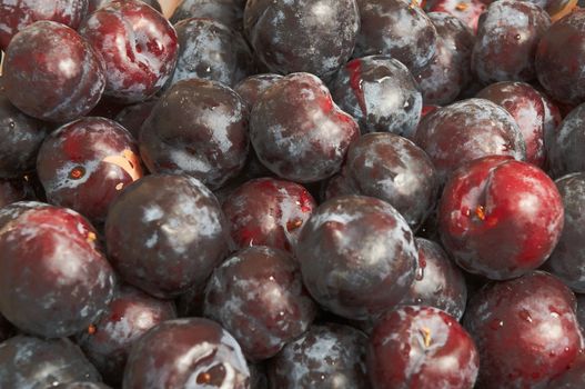 Pile of purple plums at produce market.
