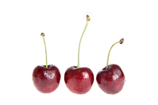 cherries on white