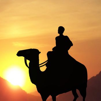 Silhouette of man on a camel with a sunset background 