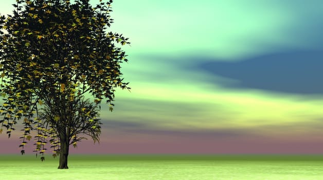tree and landscape green