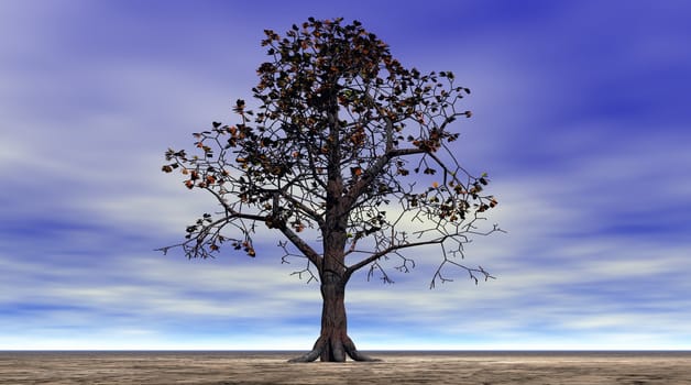 tree and sky blue