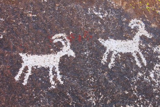 Ancient Petroglyphs on a rock wall at Grapevine Canyon - Nevada.