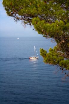 Sail boat sailing near coast on a sunny day
