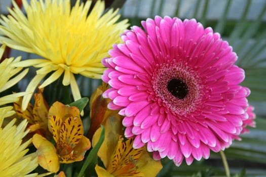 Multicolored flowers, background