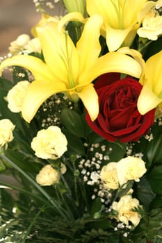 Yellow lily and red rose, flower background