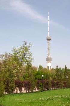 TV aerial in the sky over green trees