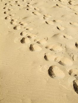 Eroded footprints in soft desert sand dunes