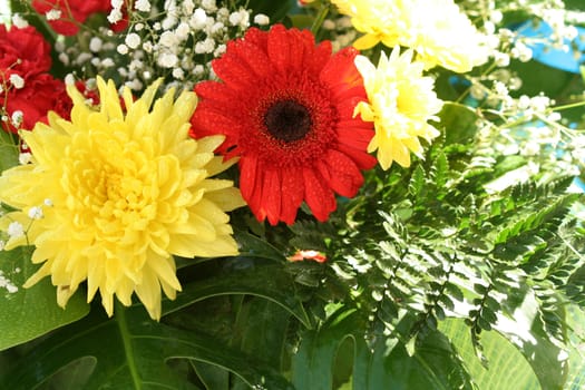 Red gerbera and yellow aster, flower background