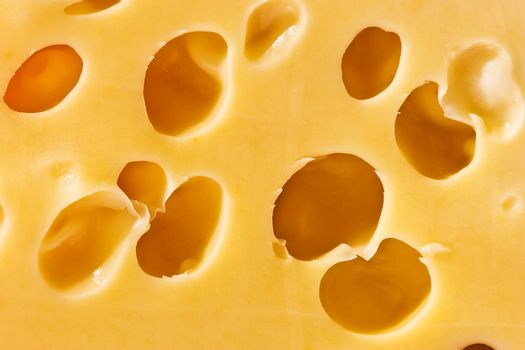macro picture of a cheese loaf with holes