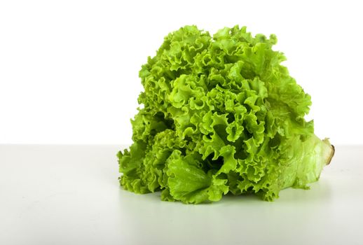 Picture of an healthy lettuce over a white table