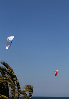 people doing kitesurf sport on holiday at a beach
