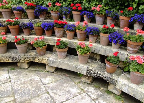 Garden & Holticulture Series - imagery depicting various Mediterranean gardens