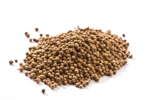 macro picture of coriander`s hill over white