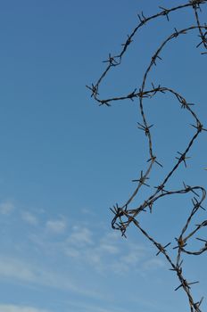 Detail of a barbed wire fence protection