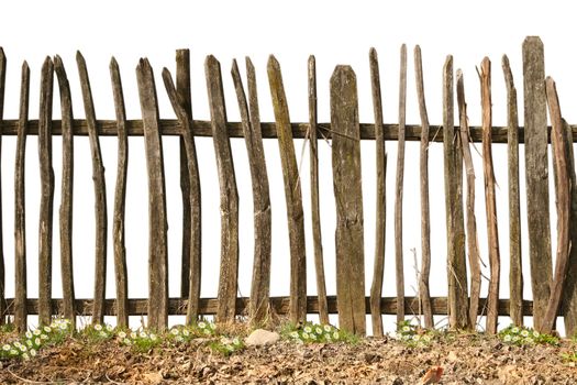old and rough wooden fence on white background