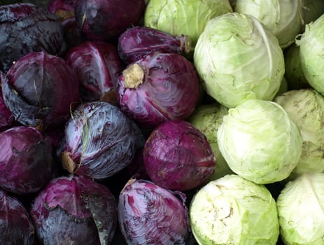 fresh cabbage for sale at a local farmers market