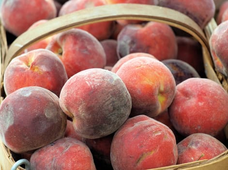 Peaches for sale at the market. In a basket.