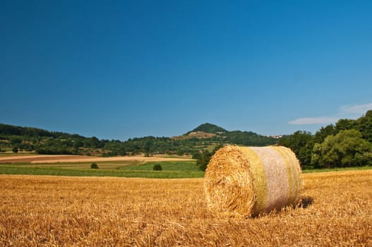 bale of straw with a panoramic view to a hill