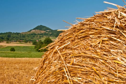 bale of straw with a panoramic view to a hill