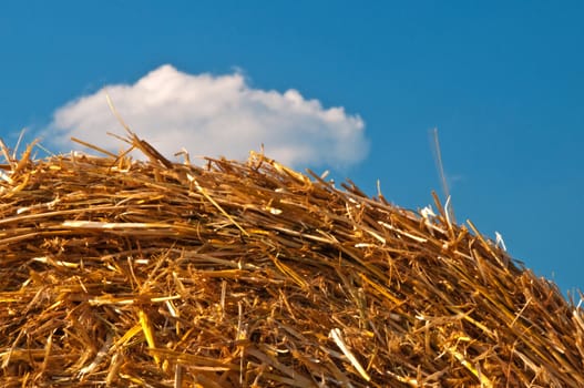 straw with a cloud on a blue summer sky