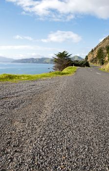 Beautiful Coastal Road, on Coromandel Peninsula, New Zealand 