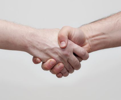 Shaking hands in agreement with white background