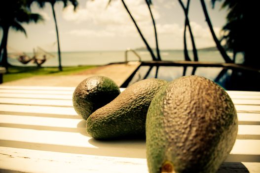 Avocados on a white bench in a backyard