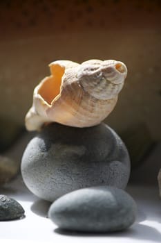 A broken sea shell perched on top of a gray beach pebble. set on a portrait format, with room for copy above image.