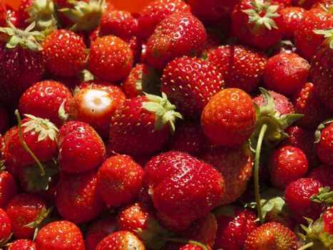 Just the collected strawberry.