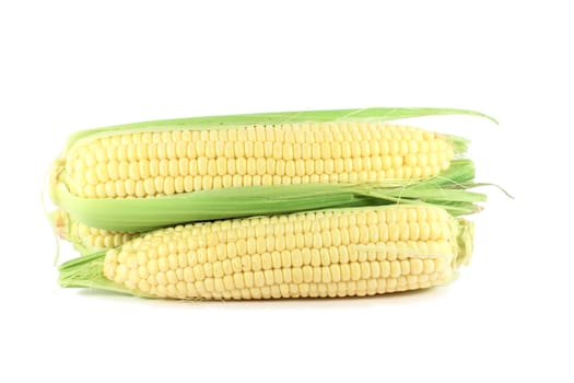 Corn cob sweetcorn ready for cooking isolated on white